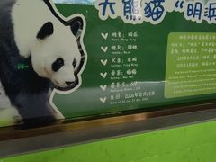 -柳州市动物园