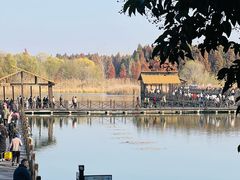 -溱湖国家湿地公园