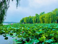 -长春市南湖公园