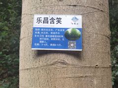 -北园酒家(小北路店)