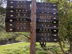 -金龙寺国家森林公园