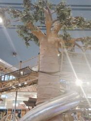 -卡通尼·Safari非洲探索乐园·生日会(金桥国际商业广场店)