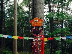 iphone_upload_pic-凤凰山国家森林公园