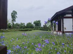 -汉梁文化公园