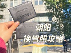 -北京市公安局交通管理局朝阳交通管理支队