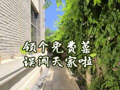 -庐灶江南·江南菜·四合院Bistro(东直门雍和宫·原华侨宾馆店)
