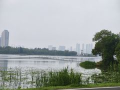 -金银湖国家城市湿地公园