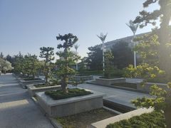 -石家庄市植物园