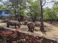 -西安秦岭野生动物园