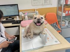 -美联众合动物医院(·中兽医·疑难杂症·严家桥分院)