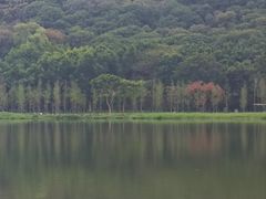 -风云岭森林公园