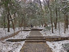 -紫金山山顶公园