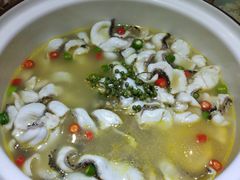 -青花椒花椒鱼(合生汇店)