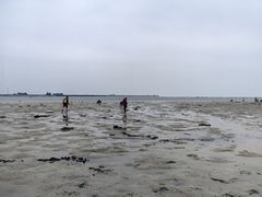 -北海金海湾红树林生态旅游区