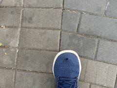 -allbirds(三里屯太古里南区店)