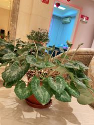 -北京俪婴妇产医院(朝阳大悦城店)