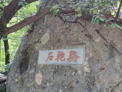 -阳台山自然风景区