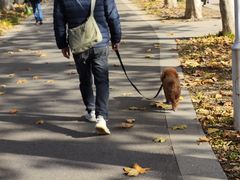 -泰州凤城河风景区-泰山公园