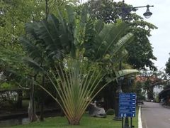 -五世皇金柚木行宫(维护中)