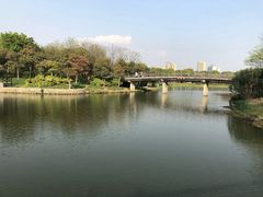 -尚贤河湿地