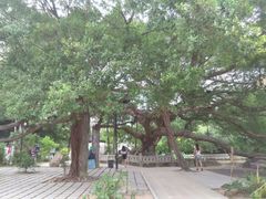 -小洲村
