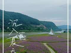 -茅兰沟国家森林公园
