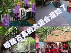 -呀路古热带植物园