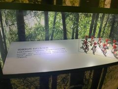 -中国杭州低碳科技馆