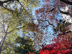 -华东政法大学(松江校区)