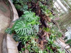 -石家庄市植物园
