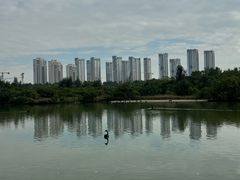 -五缘湾湿地公园