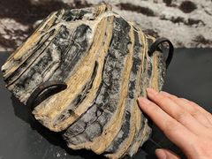 -湖南省地质博物馆