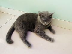 -平行世界·猫咖(首经贸店)