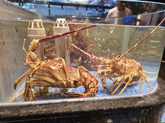 -青蓬蒸汽海鲜·深圳老字号·团建聚会(壹方城店)