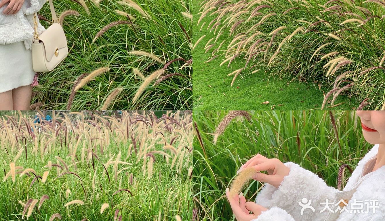 东莞探店｜穿越法式浪漫花园⛲️轻奢下午茶🍃