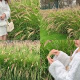 东莞探店｜穿越法式浪漫花园⛲️轻奢下午茶🍃