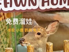 -杭州开元森泊度假乐园