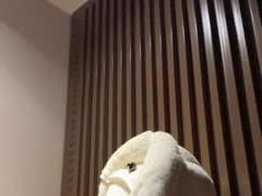 -泰合玺·精油疗愈 SPA(南京河西万达店)