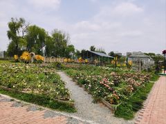 -祥源·阜阳生态乐园