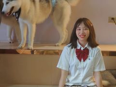 -Husky Go! 哈士奇体验馆·宠物咖啡厅狗咖