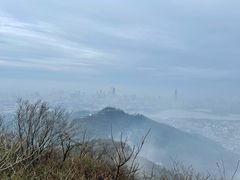-紫金山山顶公园