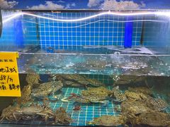 -坛南湾阿强农家乐.海鲜大排档老字号(福州地标美食店)