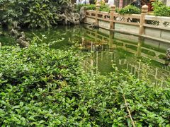 -华林禅寺