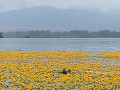 -西昌邛海湿地