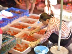 -清平路水族市场