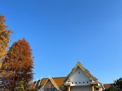 -报恩禅寺