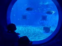 -北戴河圣蓝海洋公园