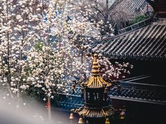 -长春观