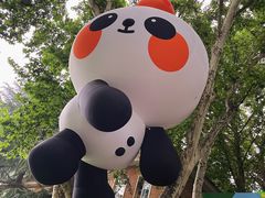 -西安电影制片厂