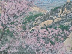 -妙峰山风景名胜区